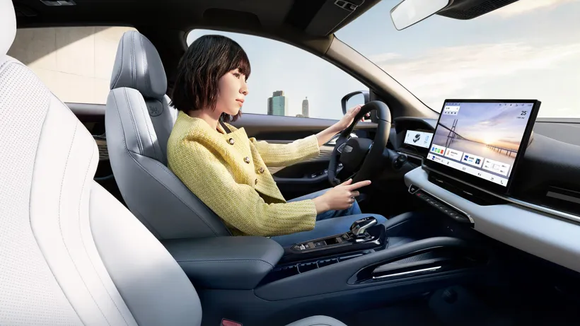Geely Coolray L 5